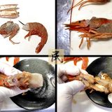 エビミソはどこにある？甘エビの頭胸部を観察して分かったこと